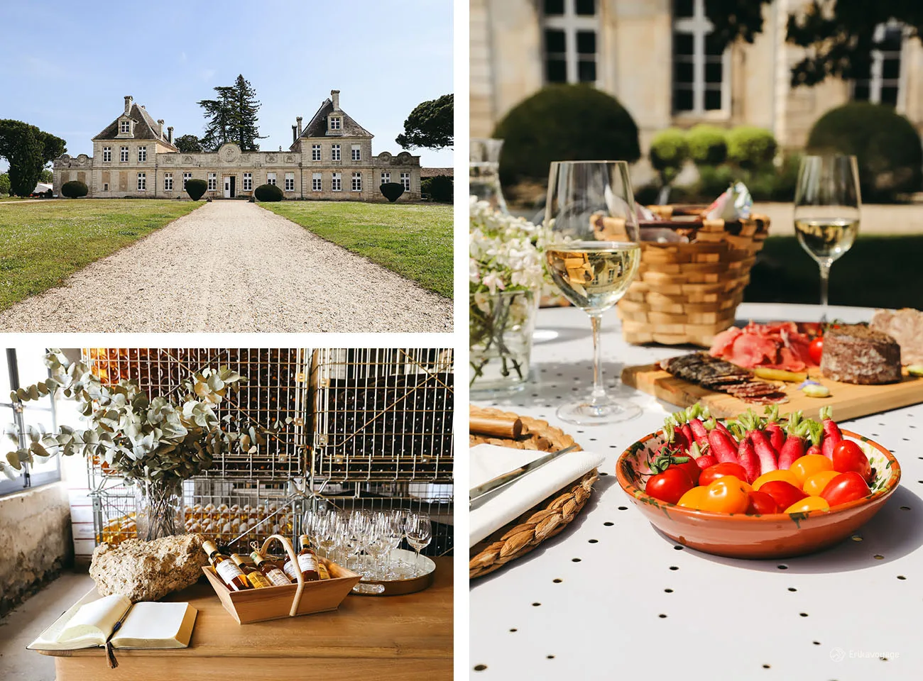 Visite Château viticole de Cérons