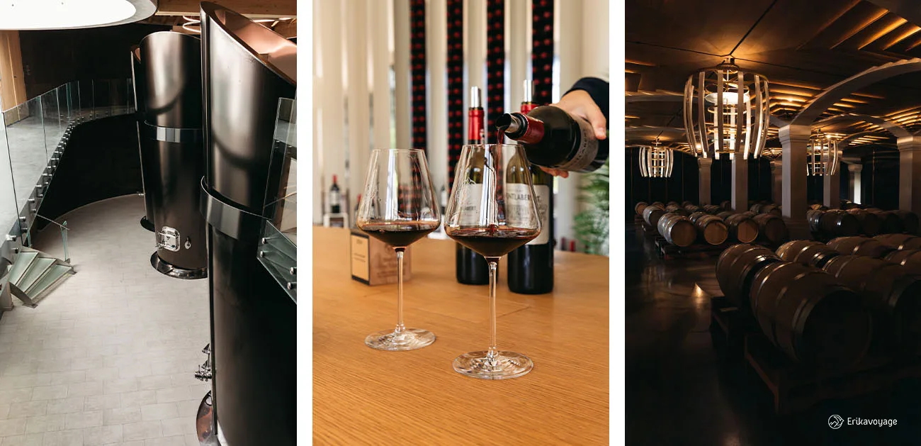 Visite Château Montlabert vignoble Saint-Emilion
