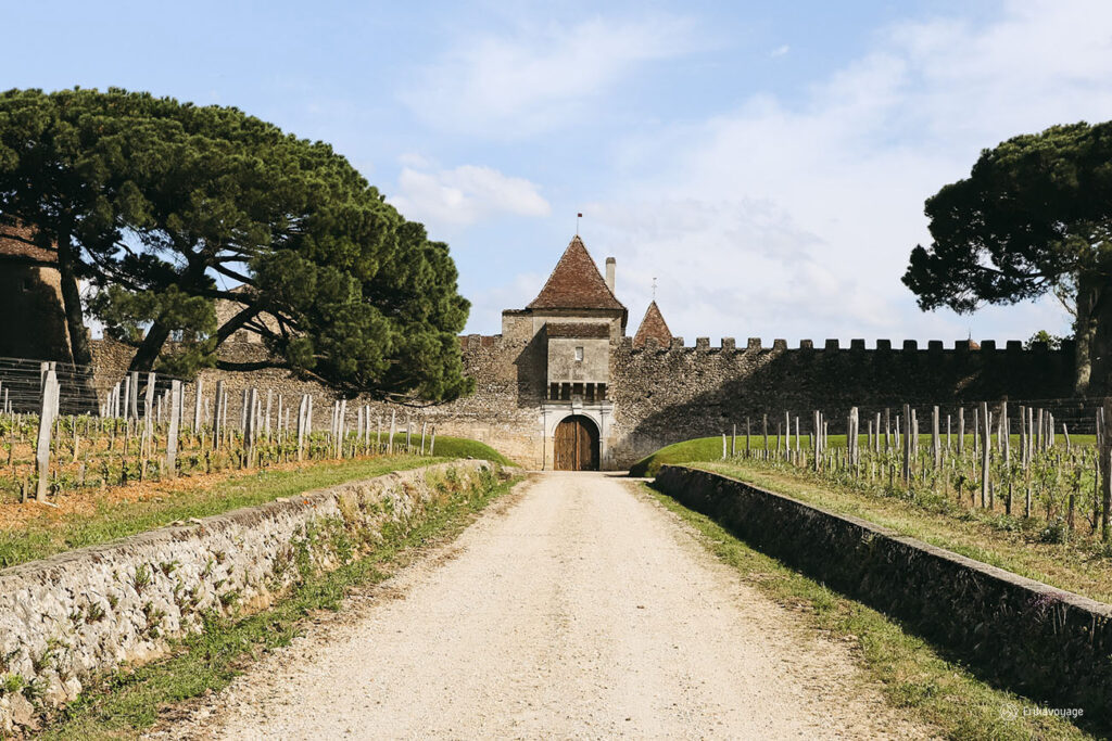 Châteaux viticoles à visiter autour de Bordeaux