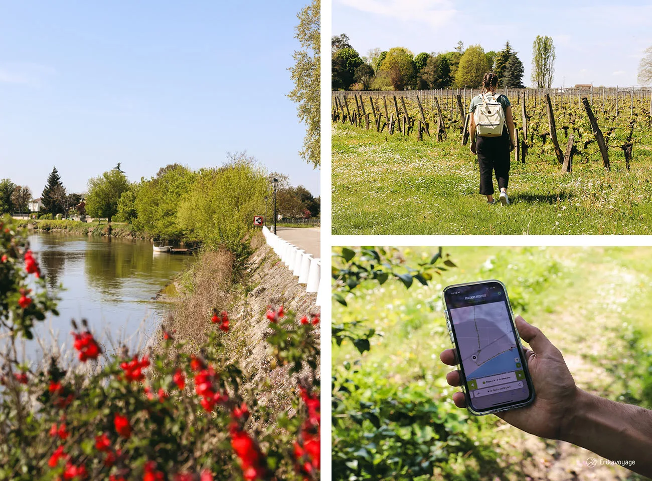 Parcours pédestre vignoble Bardet Bulle Verte