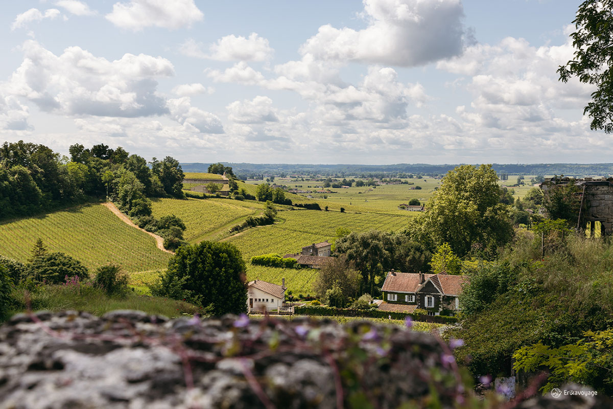 Visite vignoble Saint-Emilion