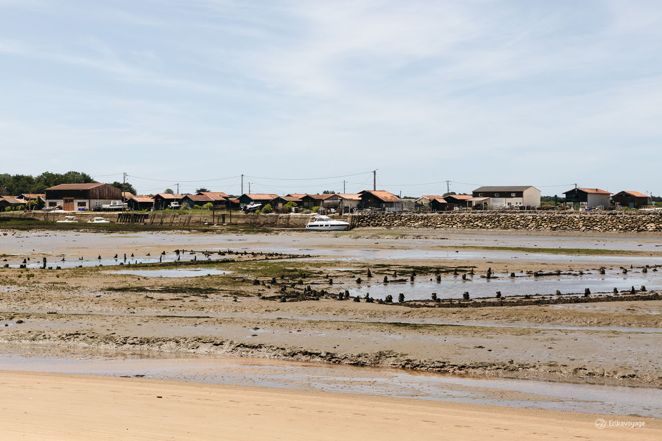 Visiter le bassin d'Arcachon en 3 jours