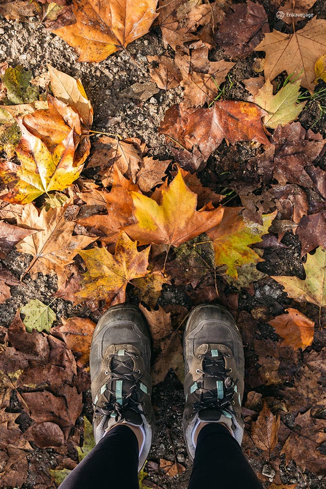 Où partir en France à l'automne