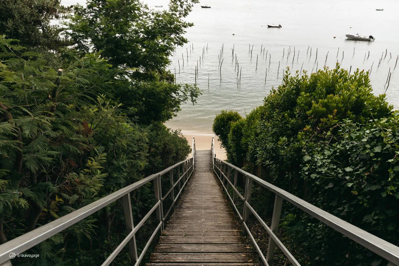 Escalier de la plage de la vigne Cap Ferret