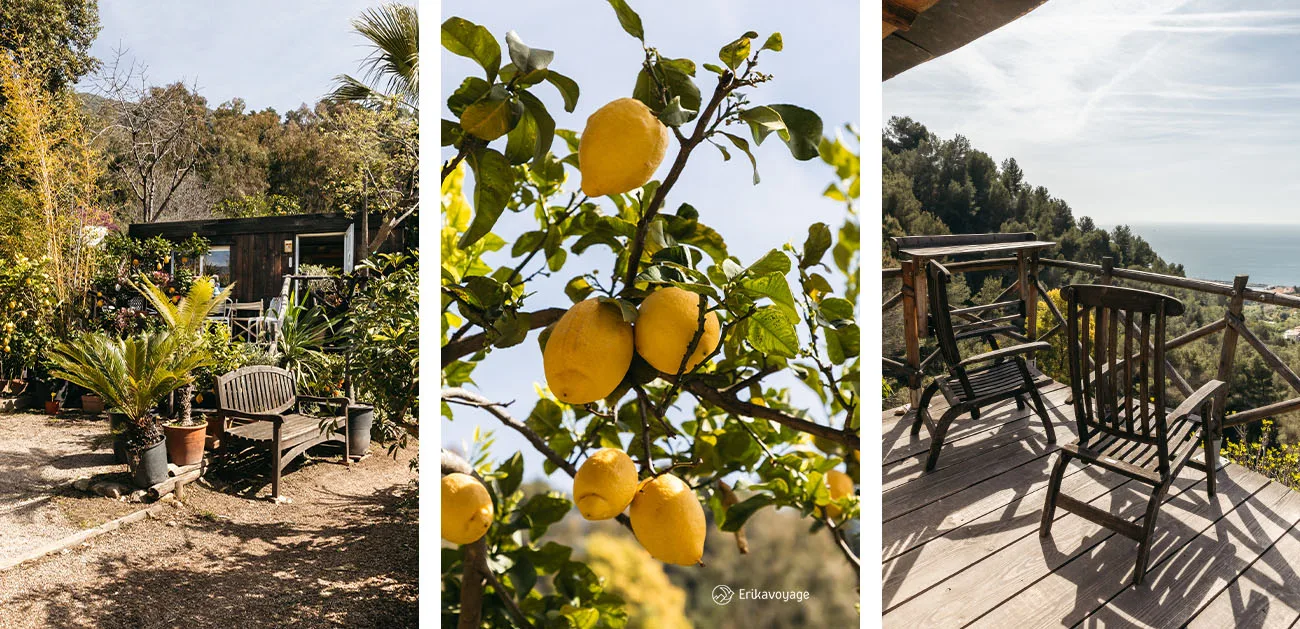Visite du domaine de citrons Gannac Menton