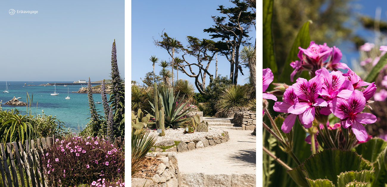 Jardin exotique île de Batz
