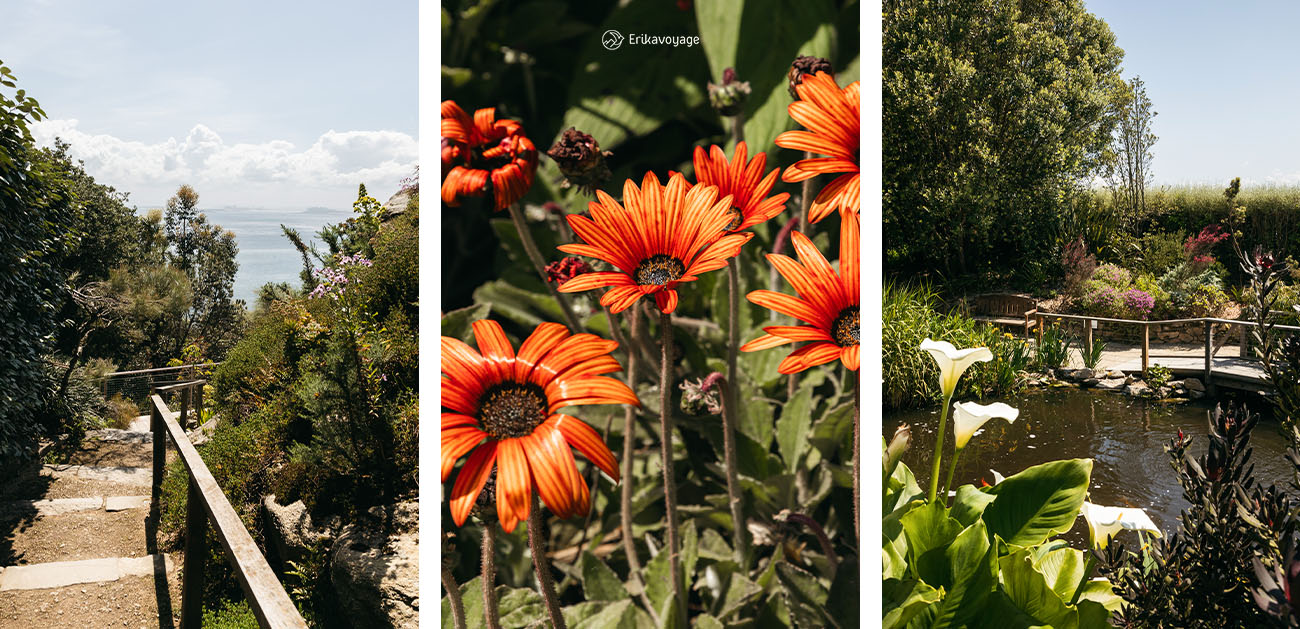 Visite jardin exotique roscoff
