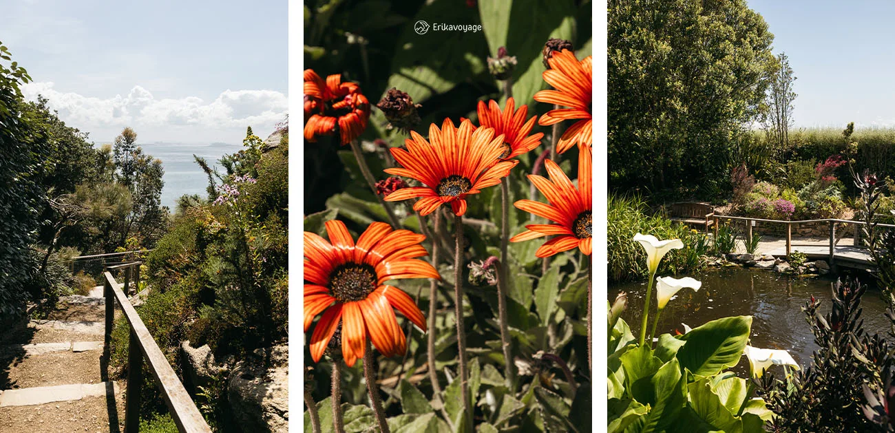 Visite jardin exotique roscoff