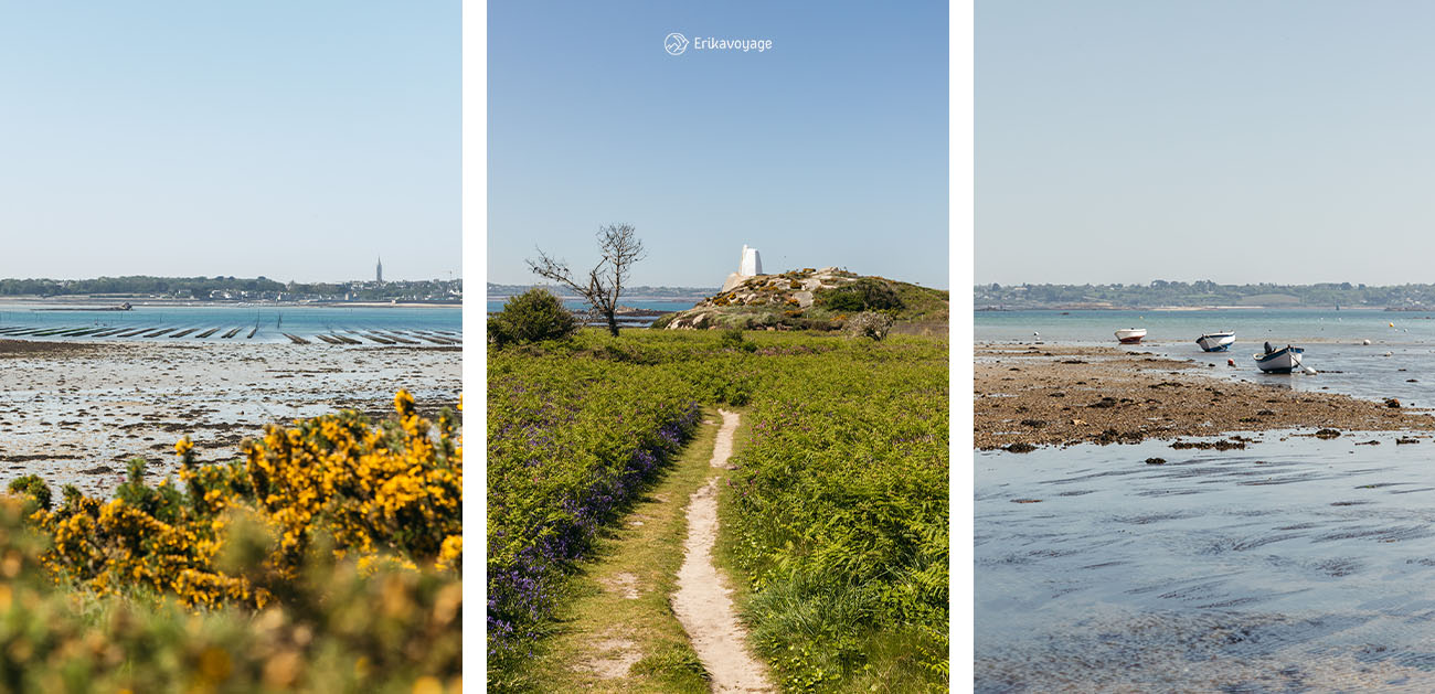 Visiter l'île Callot à Carantec