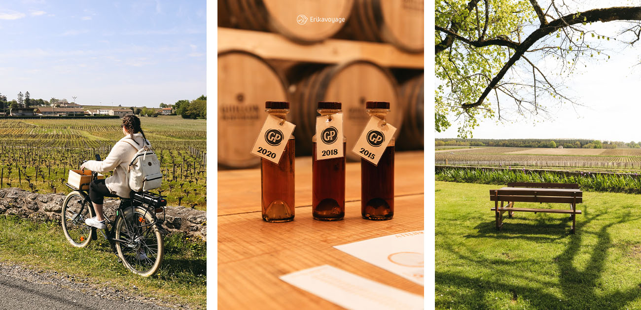 Visiter le vignoble de manière durable