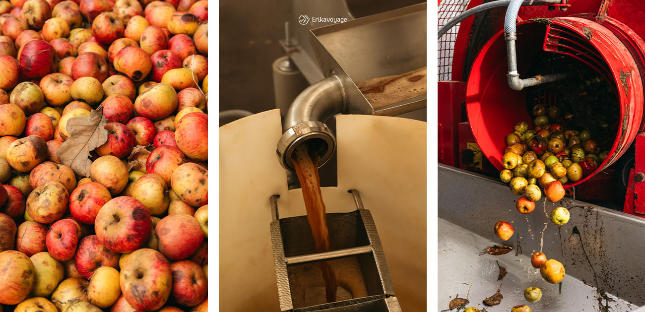 Visite d'une cidrerie en Bretagne en automne