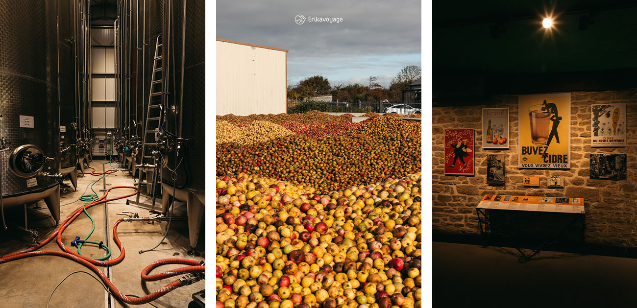 Visite de la cidrerie Kerné en bretagne en automne