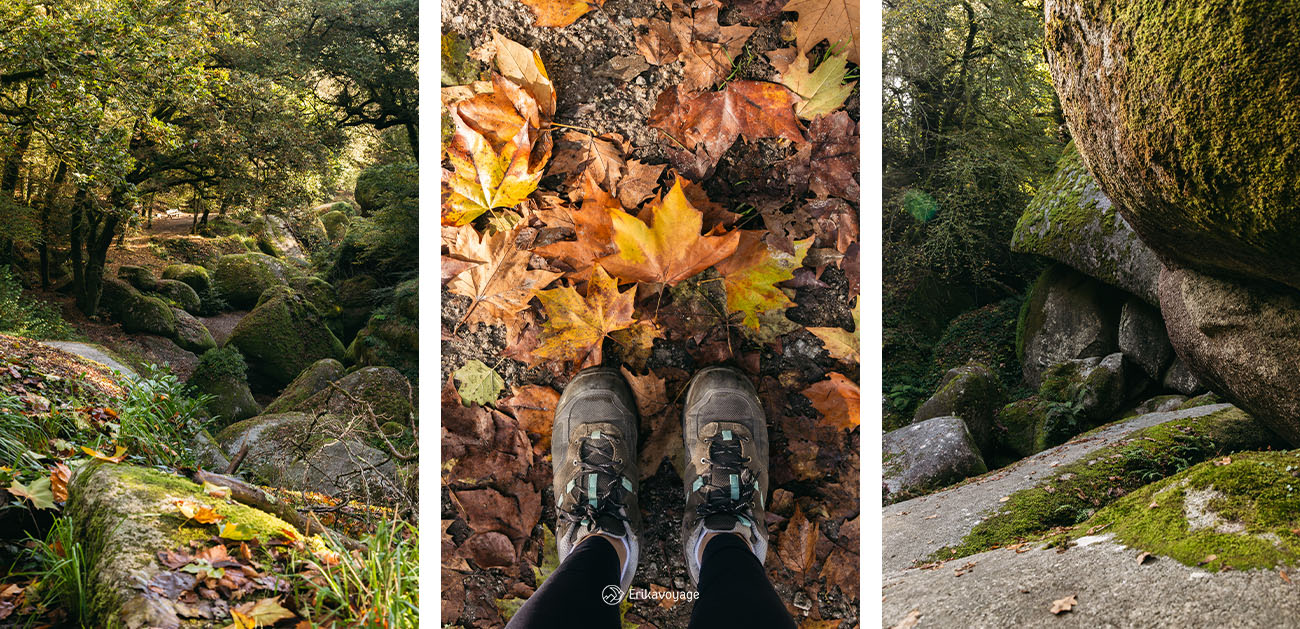 La forêt de Huelgoat en automne