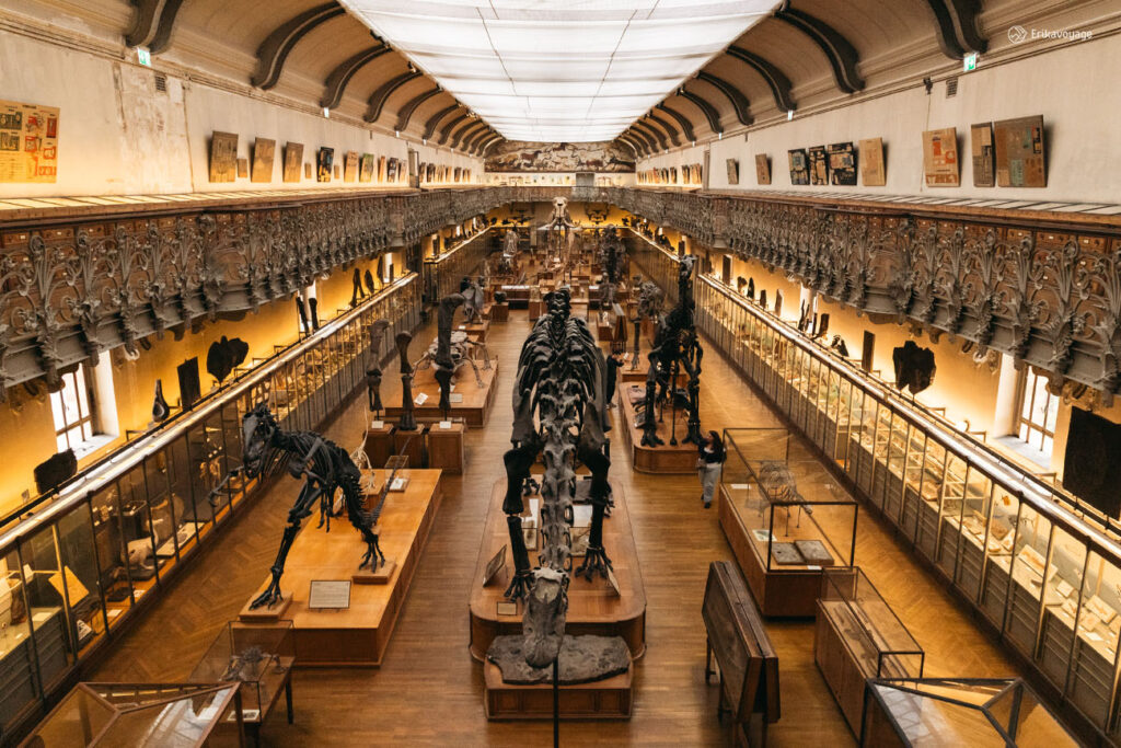 Sortie insolite Paris