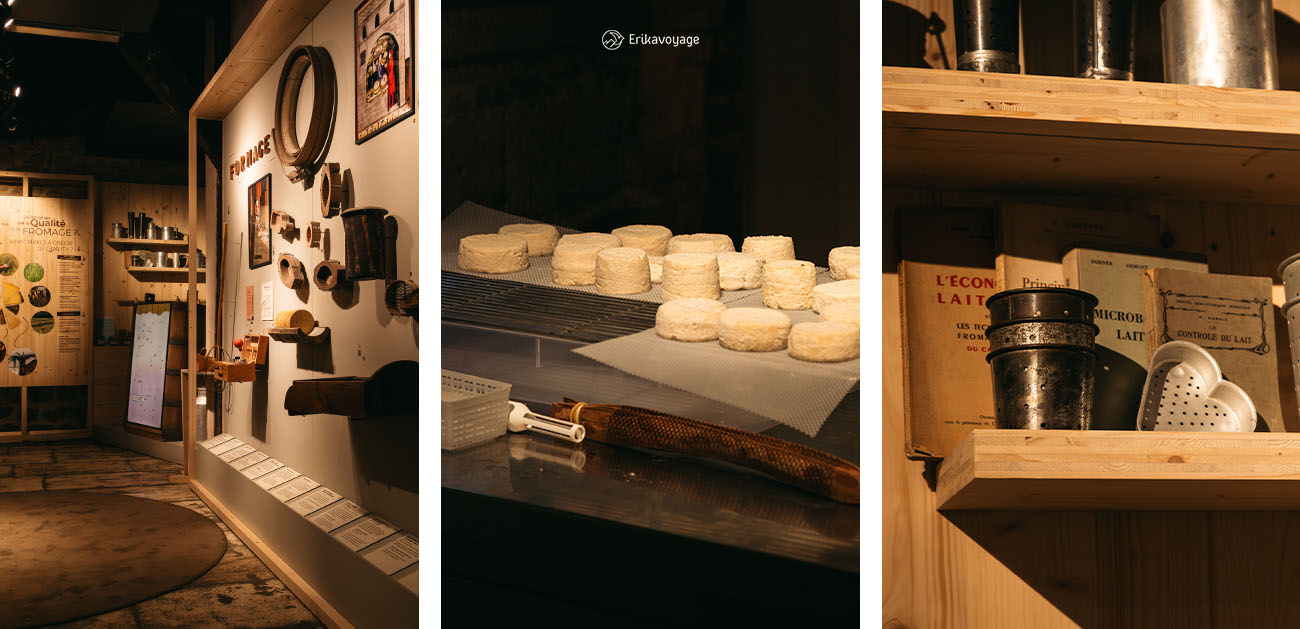Visite insolite du musée vivant du fromage à Paris