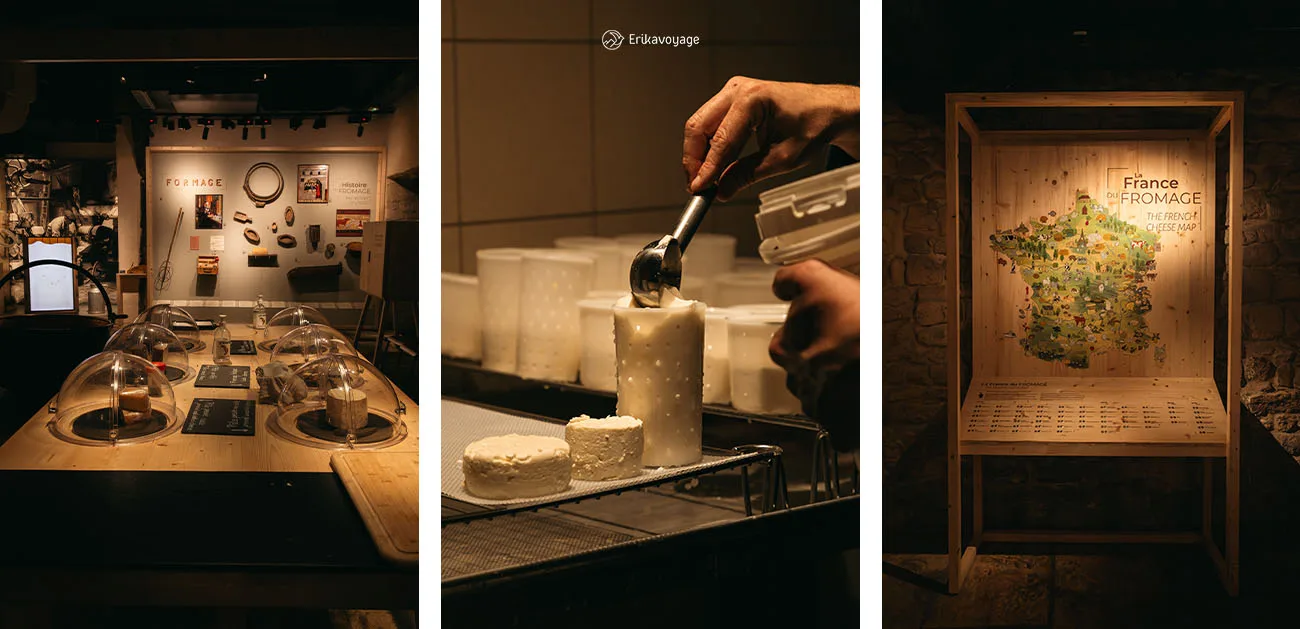 Musée du fromage à Paris : activité originale