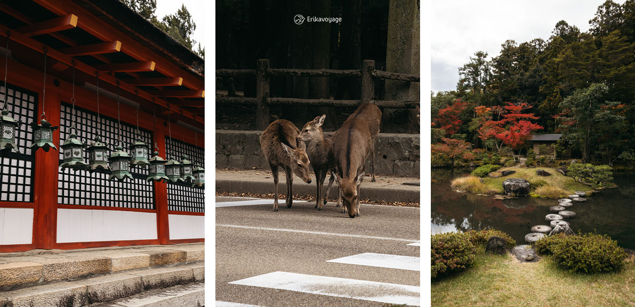 Visiter Nara lors d'un voyage au Japon