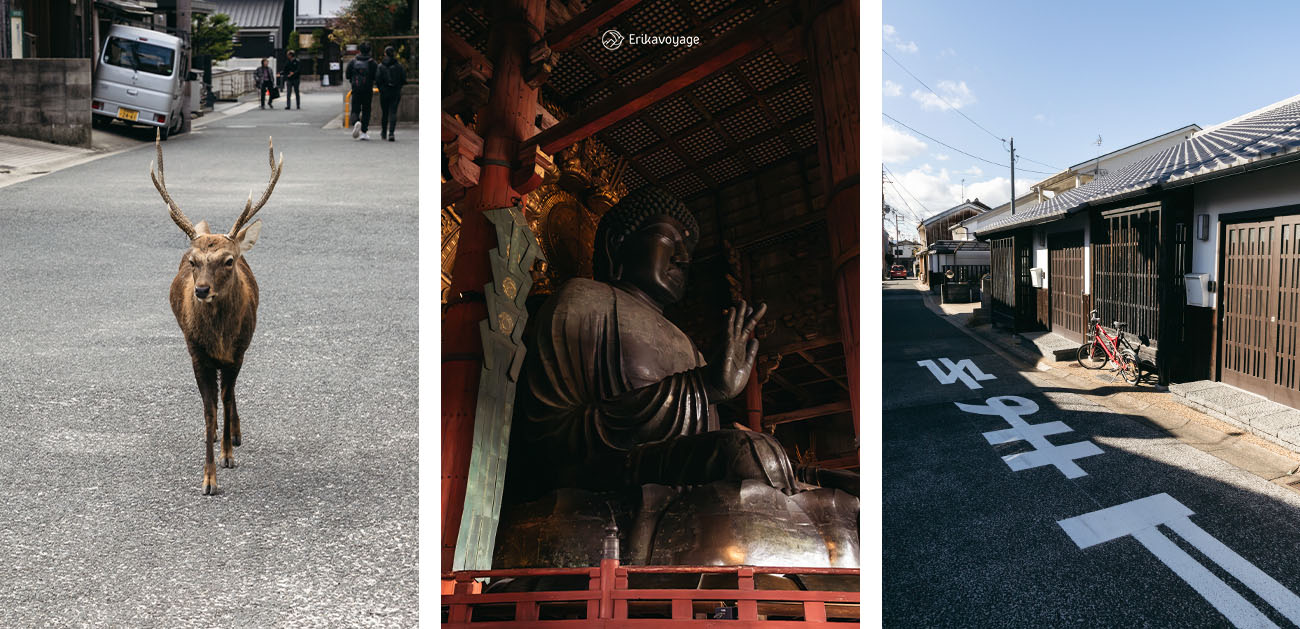 Nara 2 semaines au Japon