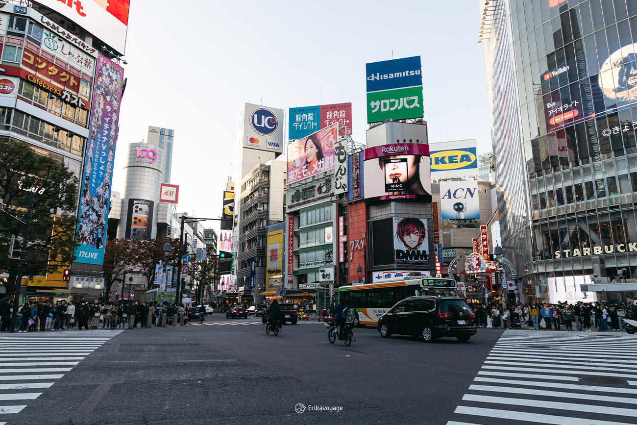 voyage de 2 semaines au Japon