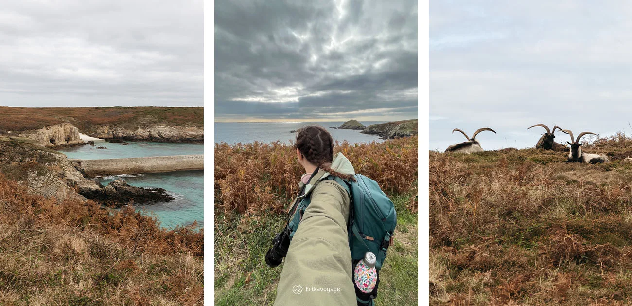 Côte surd Ouessant