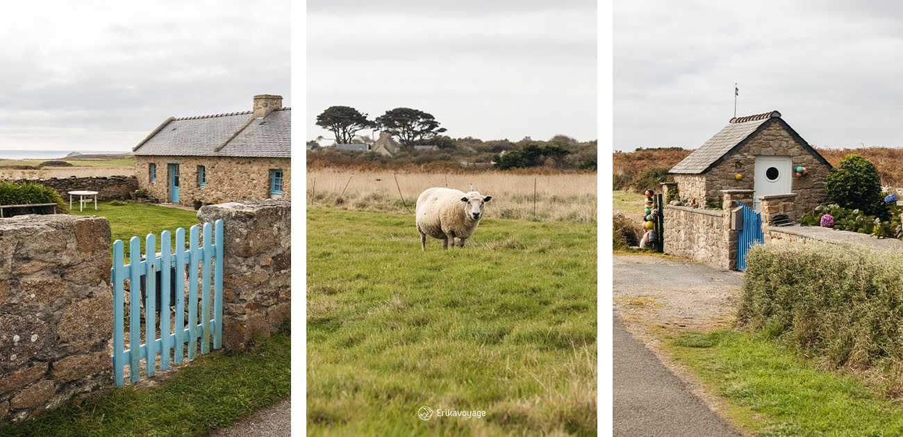 Visiter Ouessant en 2 jours