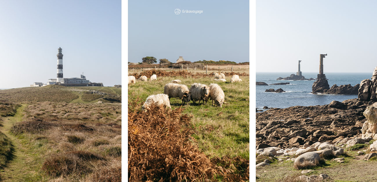 Visiter Ouessant depuis Le Conquet