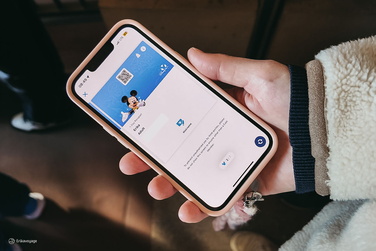 Application Tokyo Disney resort