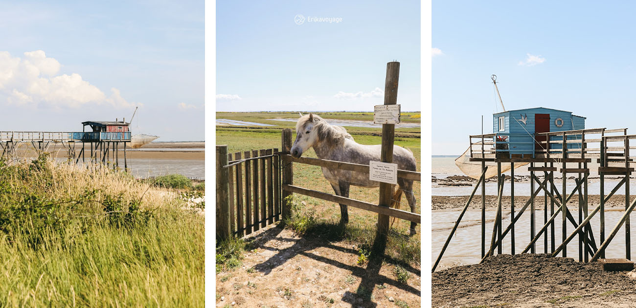 Visiter l'île Madame autour de La Rochelle