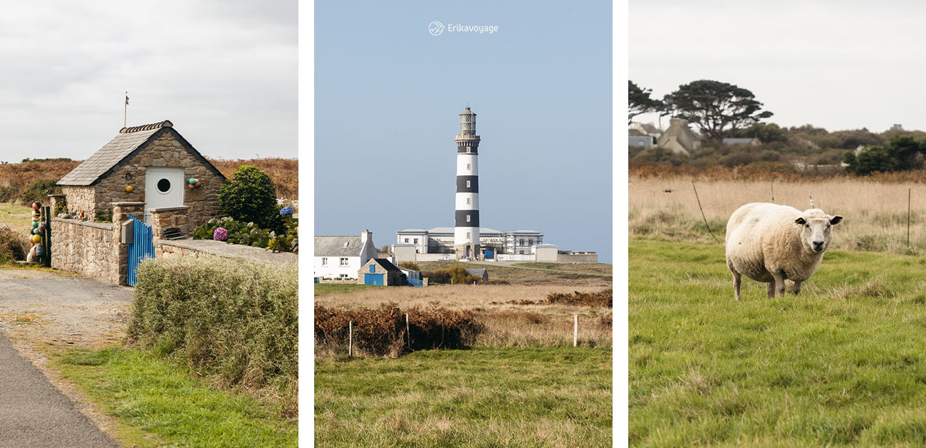 Visiter l'île d'Ouessant autour de Brest