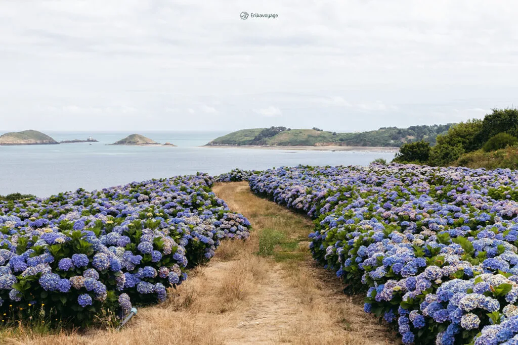 que faire à paimpol