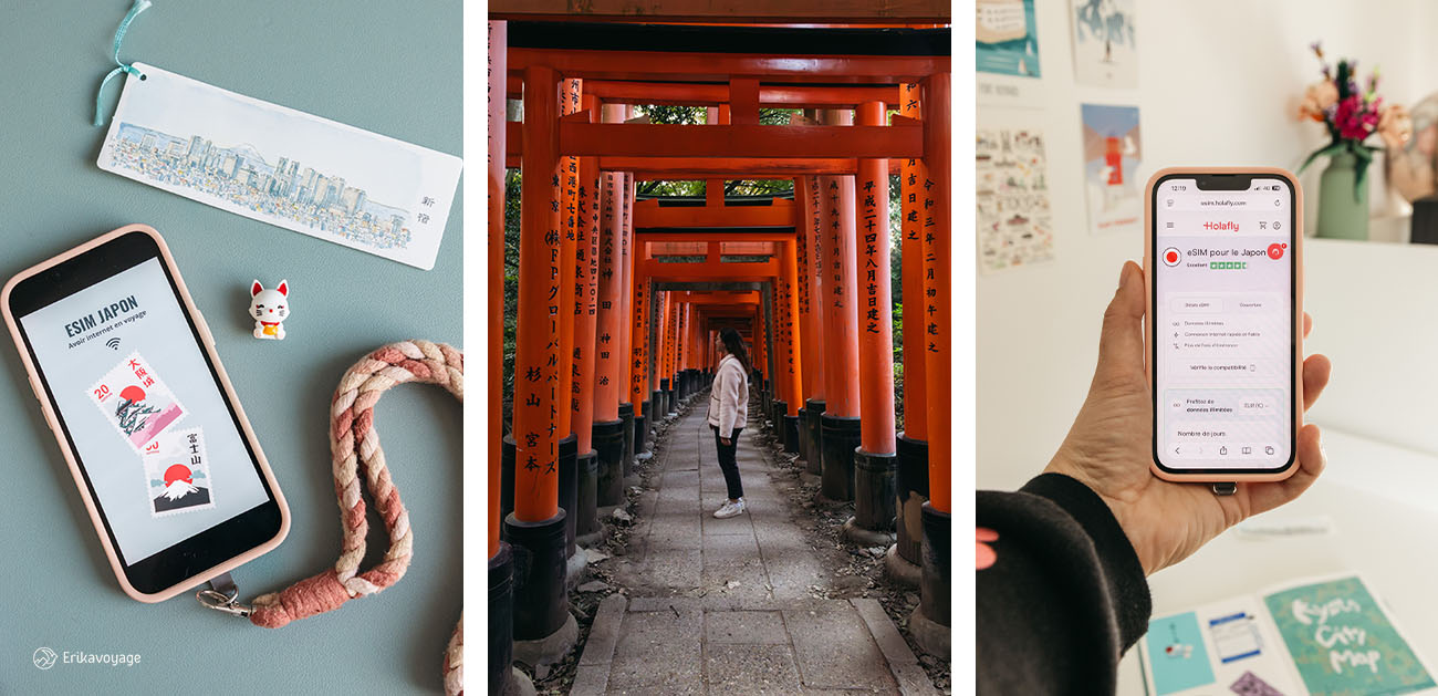 avis esim Holafly japon